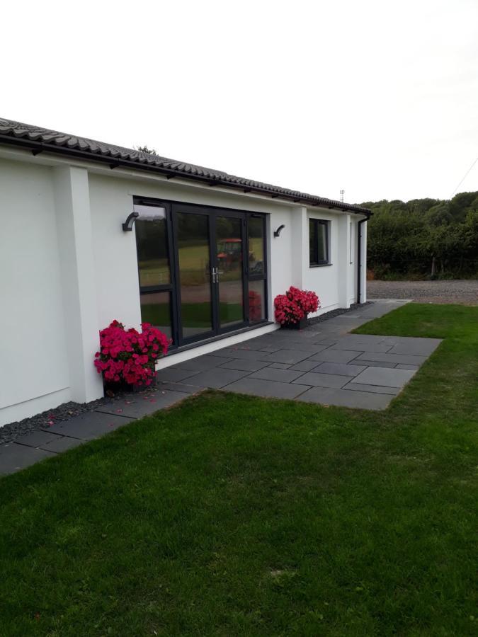 Foxholes Accommodation Felton  Exteriör bild